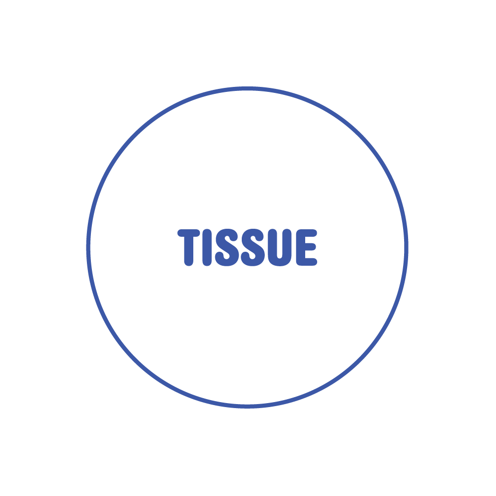 TISSUE
